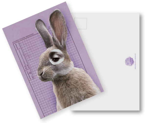 Postkarte Animal Nutters edition dreiklein