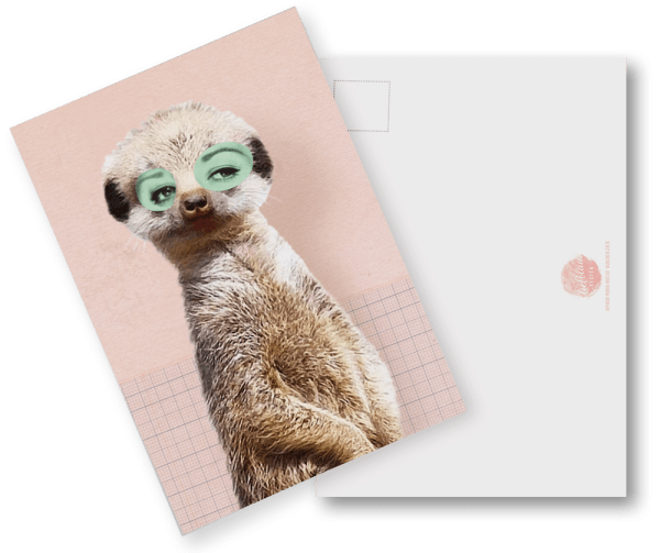 Postkarte Animal Nutters edition dreiklein