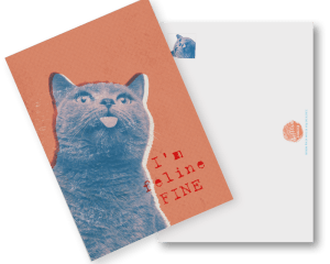 Postkarte Katzen Cats "Riso Catz"